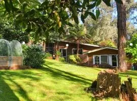 Half a house with Cubby House in Selby near Puffing Billy