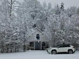 Biała chatka w lesie na Roztoczu