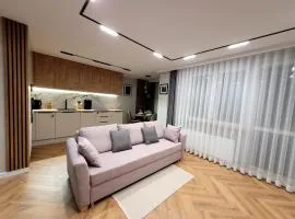 Apartament Skansen - Sanok