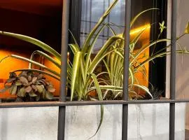 Depto Boutique Chivilcoy