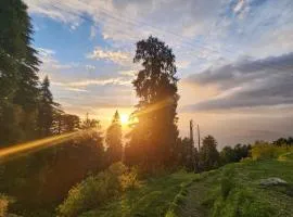 Smarthill-Evergreen Escape