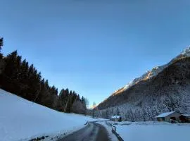 BROWN DOLOMYTE Apartment