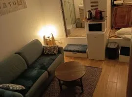 logement Mezzanine salon indépendant