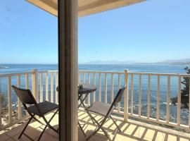 Bahia Pelicanos Apartment in Horcon Puchuncavi，位于普琼卡维的酒店