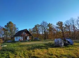 Czapliniec
