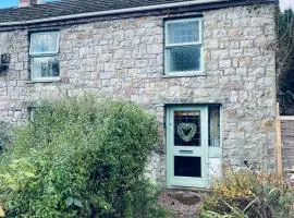 Nant caer Efail Cottage - Stream by the forge