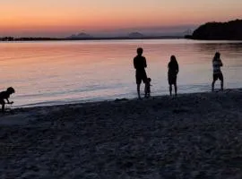 Flamingo Sunset Retreat