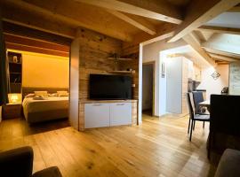 Pragma Apartments - Wood Lodge Predazzo，位于普雷达佐的酒店