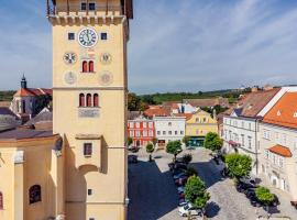 Gewölbezimmer am Hauptplatz 28，位于雷茨的酒店