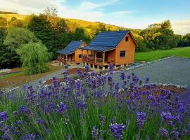 Domek Lawendowa Dolinka Domki Beskid Niski，位于Chyrowa的酒店