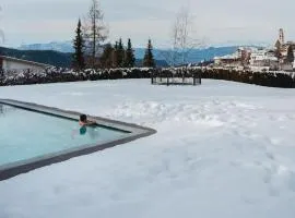 艾里卡健康酒店