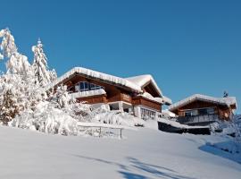 Ferienwohnung Gästehaus Büchele Kleinwalsertal，位于希洛谢克的酒店