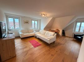 Grandhouse Olten City Apartments，位于奥尔滕的自助式住宿