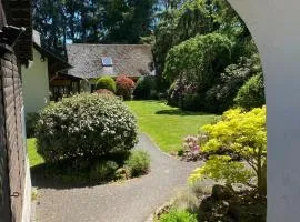 Urlaub an der Baybachklamm