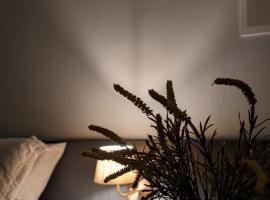 Wai Hotel Picos，位于Picos的酒店