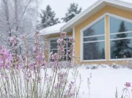 Keltainen talo - tilava huvila lähellä Saloa