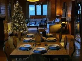 VIA AURUM Modern-rustic guesthouse in Transylvania