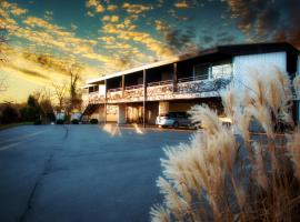 伯格酒店，位于坡道旁盖斯林根的酒店