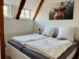 Robbe beim Ochsenturm am Deich