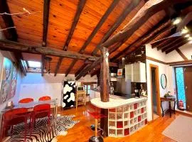 BILBO Near ático rural con terraza