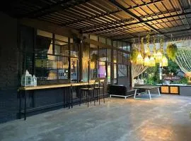 Lazy Lizard Hostel