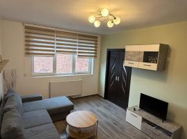 Straja Mountain Escape，位于Lupeni的酒店