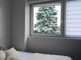 Apartman Kepić