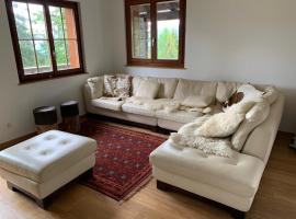 Crans-Montana Chalet dans la nature ski in ski out，位于Arni Alp的别墅