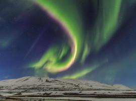 Pálína Cottage studio，位于塞尔福斯的酒店