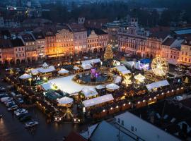 德沃夏克酒店，位于捷克布杰约维采的酒店