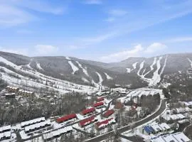The refuge of the slopes, ski in, ski out