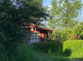 Cabañas La Vovó Futrono