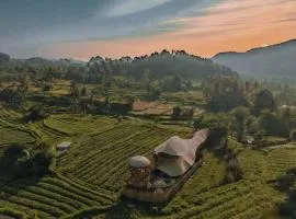 manta family sidemen