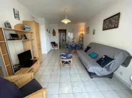 Appartement spacieux 4 pers au bourg de Sarzeau avec parking, terrasse et ascenseur - FR-1-775-49