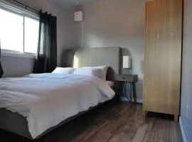 Cozy Loft in Kingston