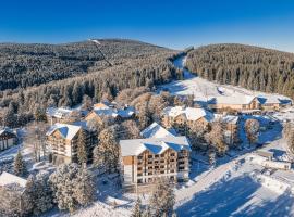 Forest Park Resort & SPA，位于希维拉杜夫-兹德鲁伊的自助式住宿