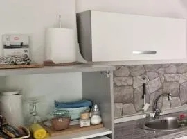 Apt Lublana