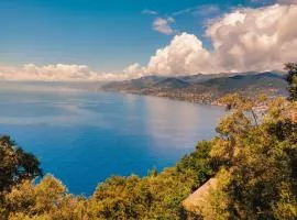 Villa Olivari Apartments & Garden, by Alma Haven