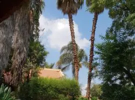 "O Sole Mio" Garden apartment in Bedfordview 12 minutes from OR Tambo International Airport