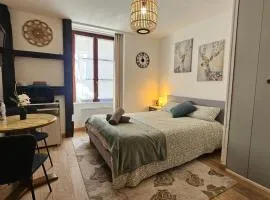 Le Remède - Studio calme hyper-centre Orléans