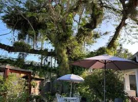 Casa da Árvore Bertioga