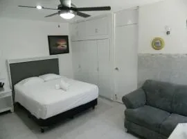 Loft con Alberca y AC Wifi y Check-in