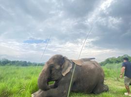 Hotel Dobhan，位于Bharatpur的酒店