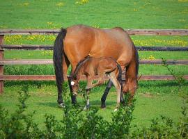 Beautiful Lodge in Newmarket with parking，位于纽马基特的木屋