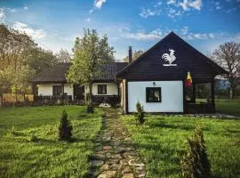 Pensiunea Cocoș