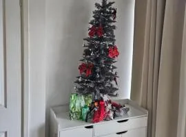 Shalom, in Saundersfoot, near the sea