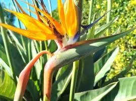 Chambres d'Hôtes La Casa Losa