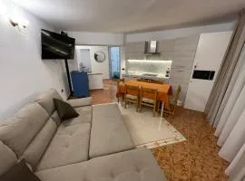 Izvor apartament