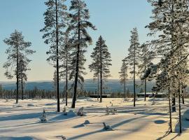 Modern Cabin With Ski In Ski Out In Idre Himmelfjäll，位于伊德菲尔的酒店