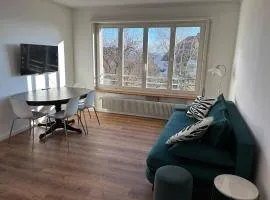 Apartment Lali Peseux, Neuchatel - 1 BR lake and Alps view